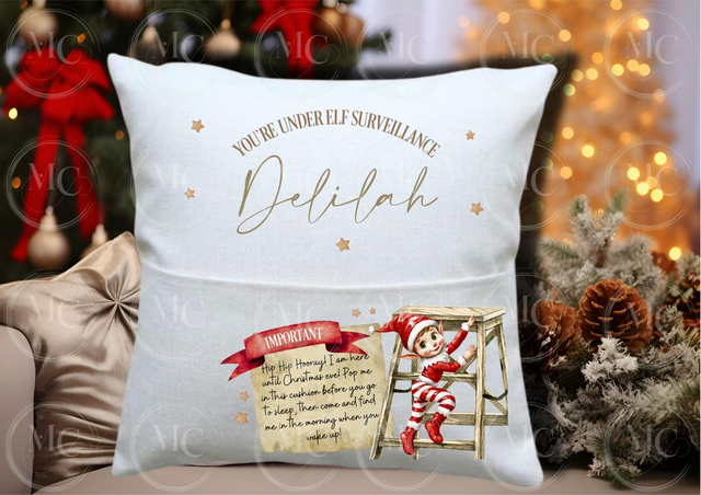 Elf surveillance cushion 