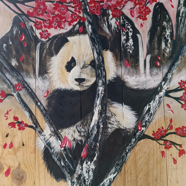 Chat ours sous les fleurs de cerisier