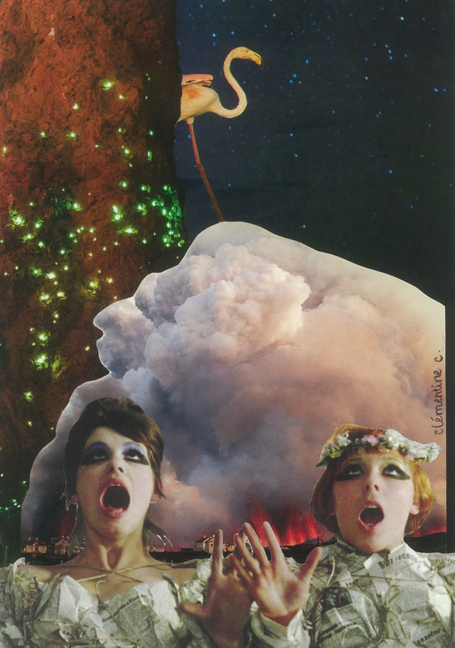 Les petites marguerites 1