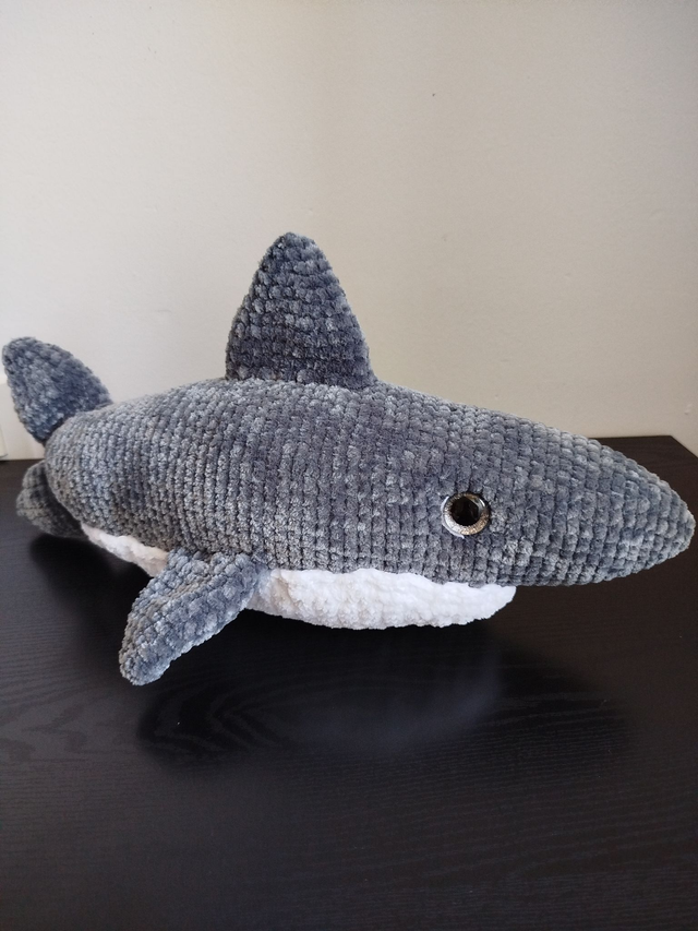 Brume le requin