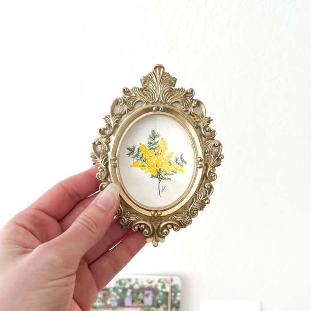 Aquarelle originale - Cadre doré miniature Branche de Mimosa 