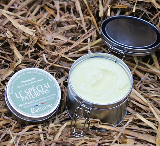 LE SPÉCIAL PATURONS