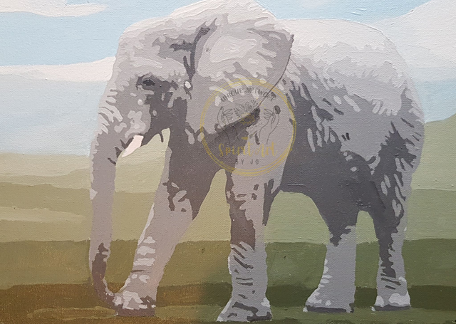 Elephant