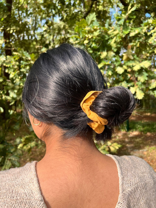 Chouchou Moutard d&#039;automne 