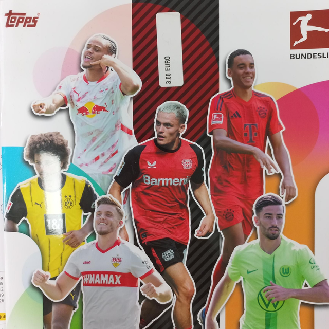 Offizielle Sticker 2024/25 Bundesliga