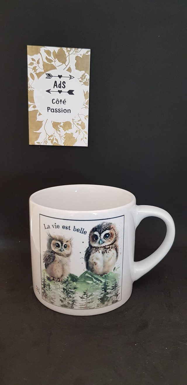 Mug moyen - La vie est belle dixit la chouette et le hibou