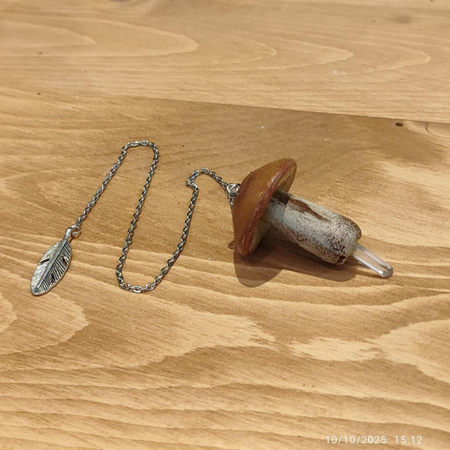 Champidule - Bolet Marron