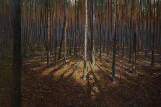 Rytm boru, 100x120 olej płótno 2025 oprawiony