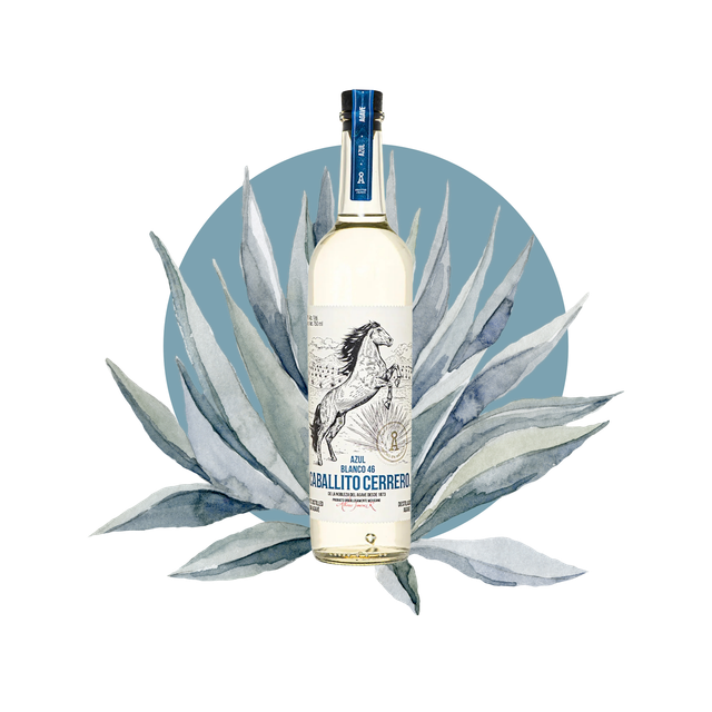 Destilado Caballito Cerrero