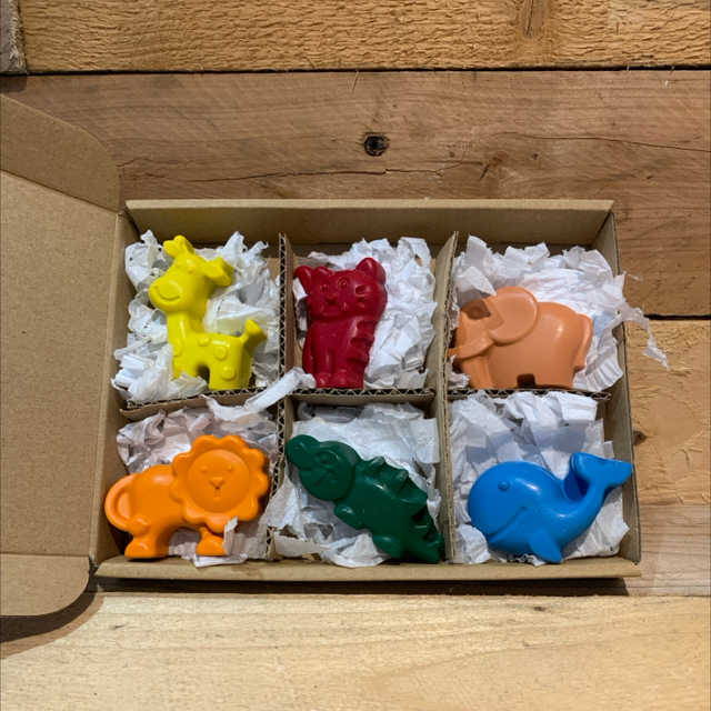 Wildlife Wax Crayon Gift Box 