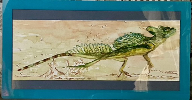 Basilic vert, le lézard 🦎 Turquoise