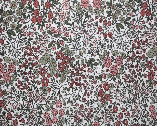 Wisley Meadow Cotton Lycra Jersey 