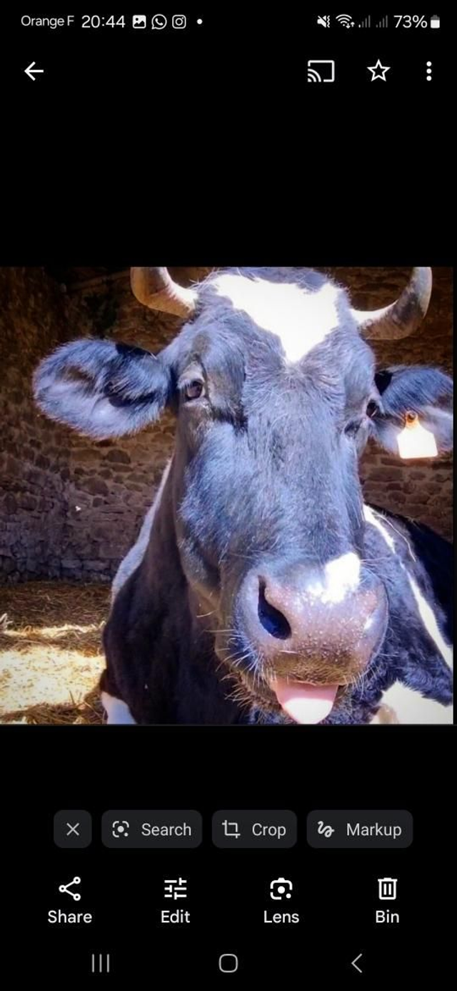 A Donation General Needs