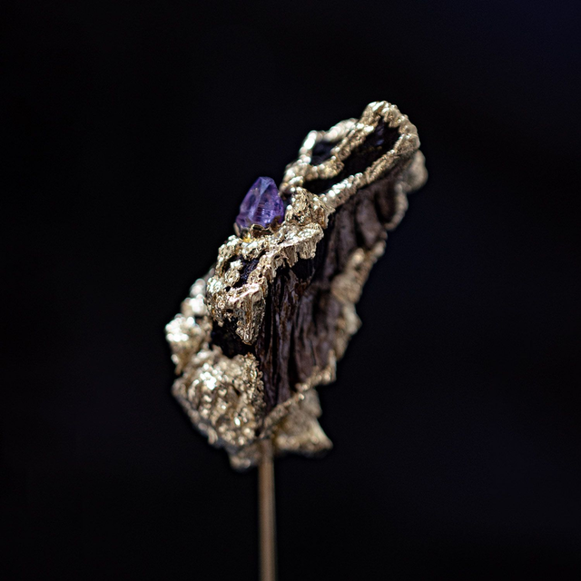 Broche Apothécie - 2/6