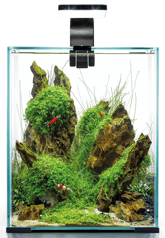 Aquarium Aquael Shrimp Set 30 Day &amp; Night : 30L Blanc