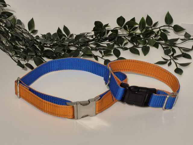 Orange/Blue Double Webbed Collar | 3 Sizes | 2 Colour Variations