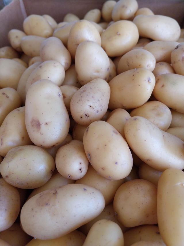 Salad Potatoes 500g