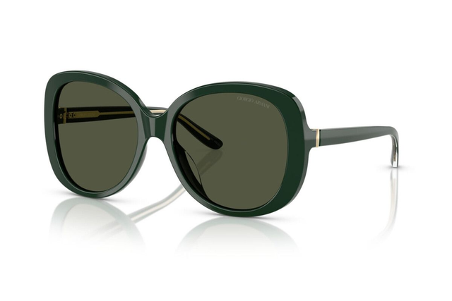 Eyewear Woman Giorgio Armani  AR 8229U 617331