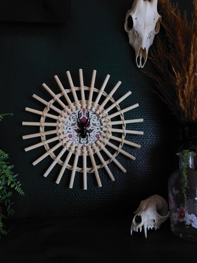 Cadre en bois avec scarabée sur fond coloré 