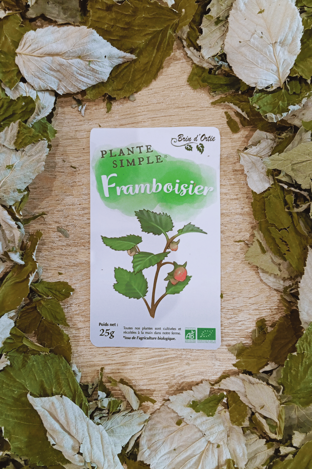  Plante simple, Framboisier