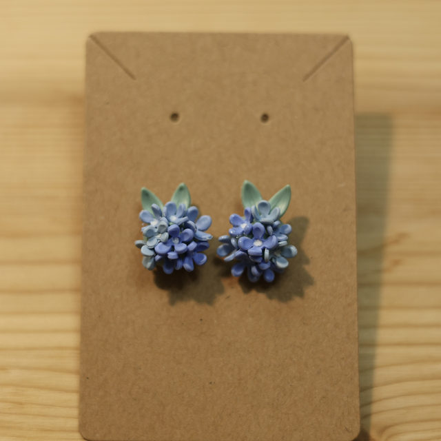 Hortensia korvakorut