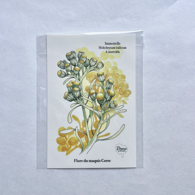 Carte Immortelle