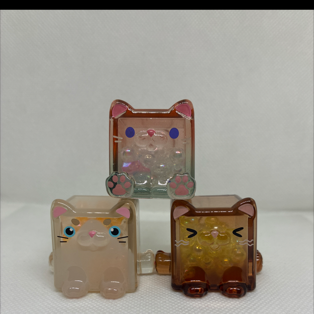 Choco Teddy Square Cat Big Size – Blind Box