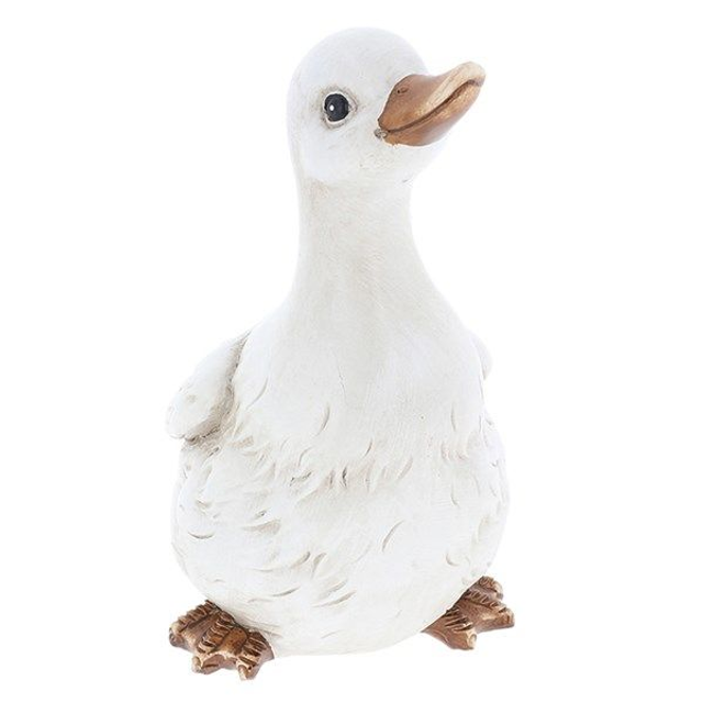 Dorset Duckling Medium Proud