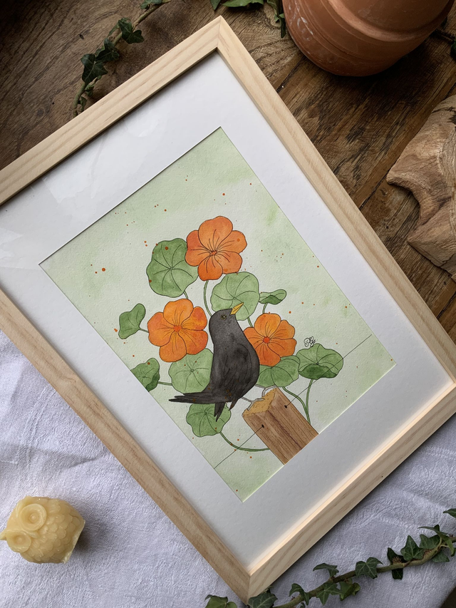 « Merlette florale »