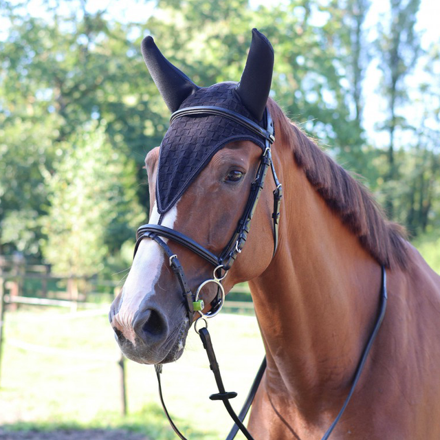 Bonnet long LAMI-CELL - Silentair