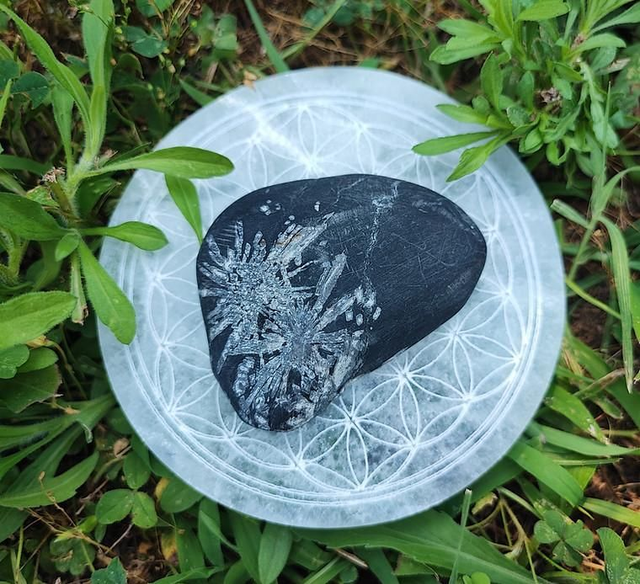 Galet Chrysanthème 70mm