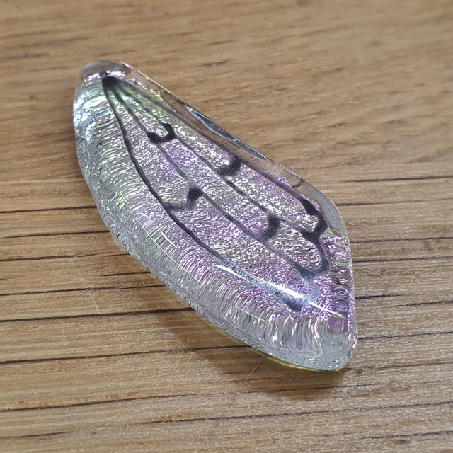 Fairy wings Rainbow studs 2