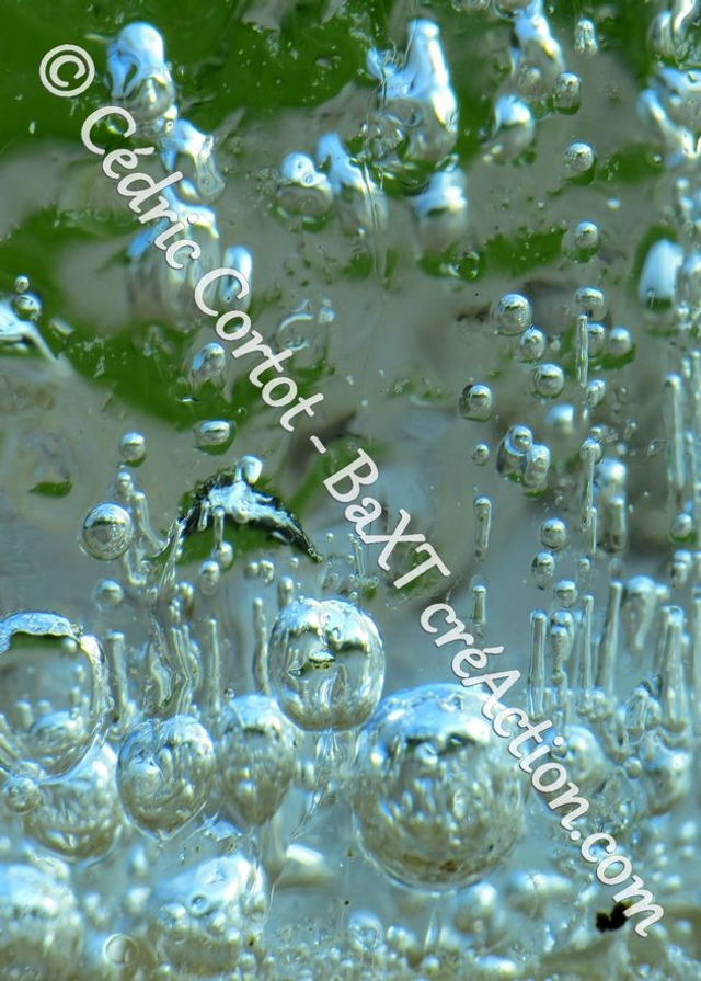 Carte postale - Paysages et divers (Ref IMG_8369)