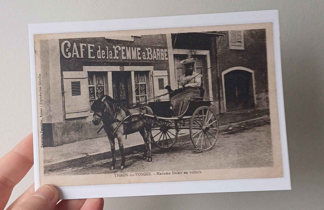 Lot de 5 cartes postales de Clémentine Delait