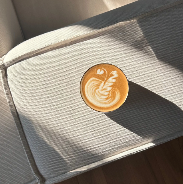 nelencio studio cup invisible