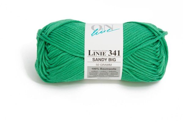 341 Sandy Big