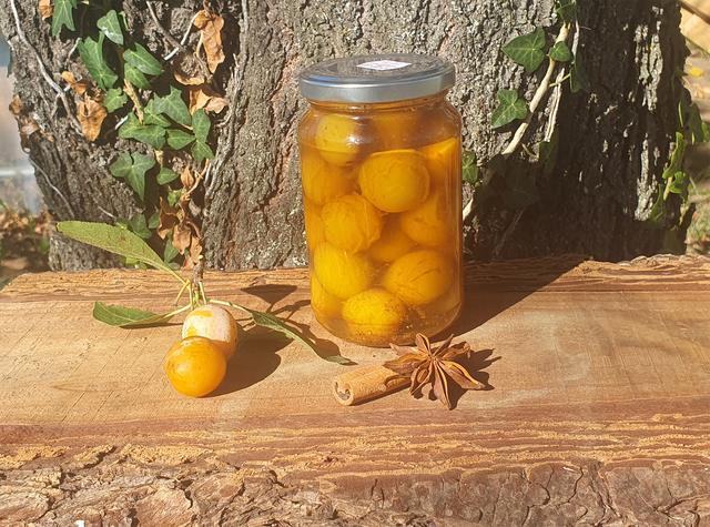 Pickles de mirabelles