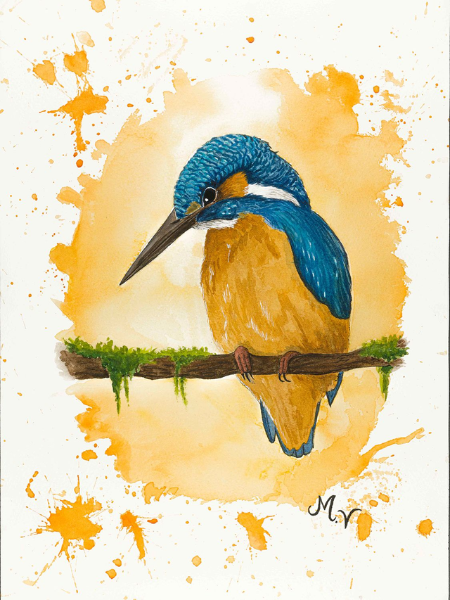 " Martin pêcheur" - tirage d'art A3