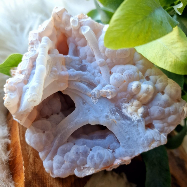 Agate Botryoidal Raw Specimen 