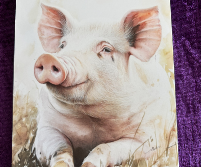 Plain Note Pad Pig lying Pink