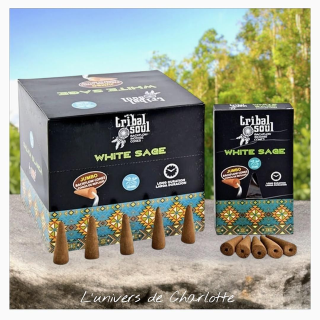 Cône d'encens "Sauge blanche"