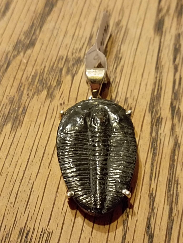 Pendentif argent Trilobite 