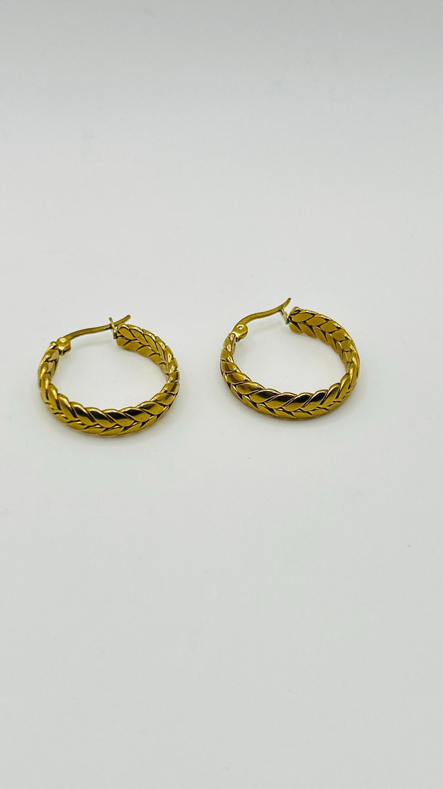 Stainless Steel Earrings (SSE63J)