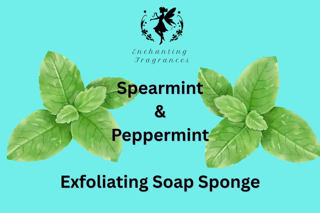 Exfoliating - Peppermint &amp; Spearmint 