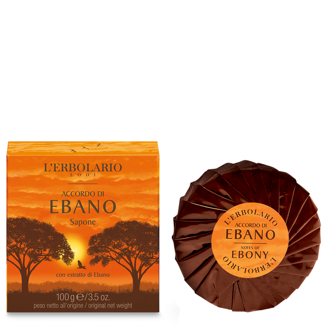 Accordo di Ebano Sapone