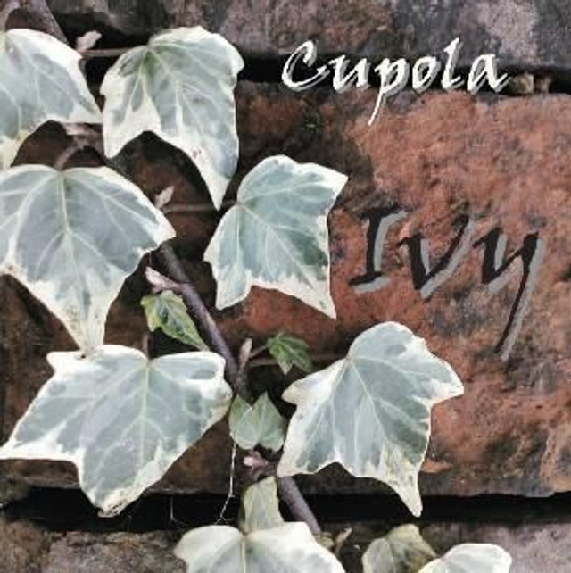 Cupola - Ivy