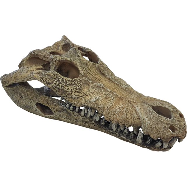 Repto Deco Crocodile – Cachette décorative pour reptiles – Taille L