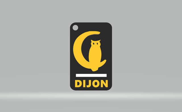 Porte clé OWLNIGHT noir