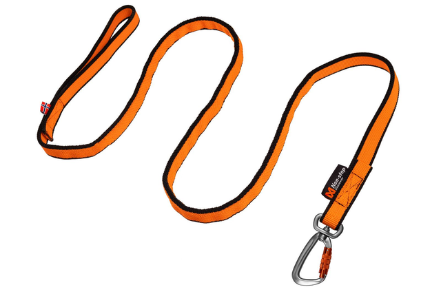 Bungee Leash 2.0, 2m 