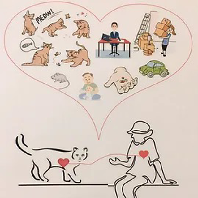 Communication animale